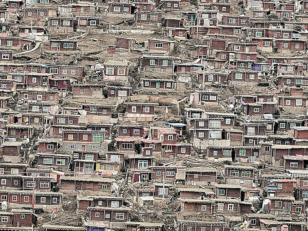 除了死亡我没有别的愿望